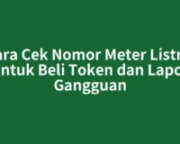 Cara Cek Nomor Meter Listrik untuk Beli Token dan Lapor Gangguan