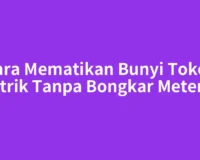 Cara Mematikan Bunyi Token Listrik Tanpa Bongkar Meteran