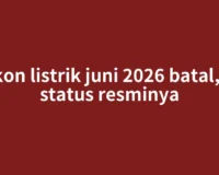 Diskon listrik juni 2026 batal, cek status resminya