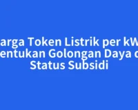 Harga Token Listrik per kWh Ditentukan Golongan Daya dan Status Subsidi