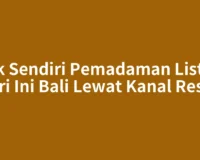 Cek Sendiri Pemadaman Listrik Hari Ini Bali Lewat Kanal Resmi