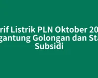 Tarif Listrik PLN Oktober 2026 Bergantung Golongan dan Status Subsidi