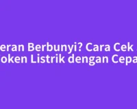 Meteran Berbunyi? Cara Cek Sisa Token Listrik dengan Cepat
