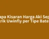 Berapa Kisaran Harga Aki Sepeda Listrik Uwinfly per Tipe Baterai?